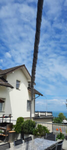 Sonnensegel Maßanfertigung